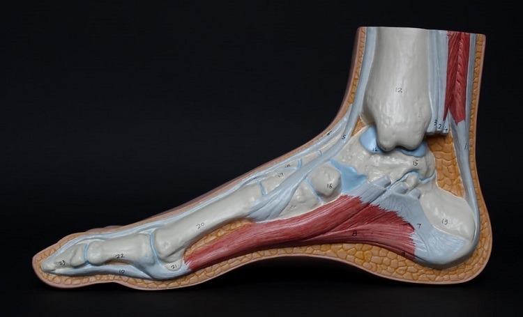 Achilles Tendonitis Footwear